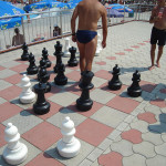 _8320448266